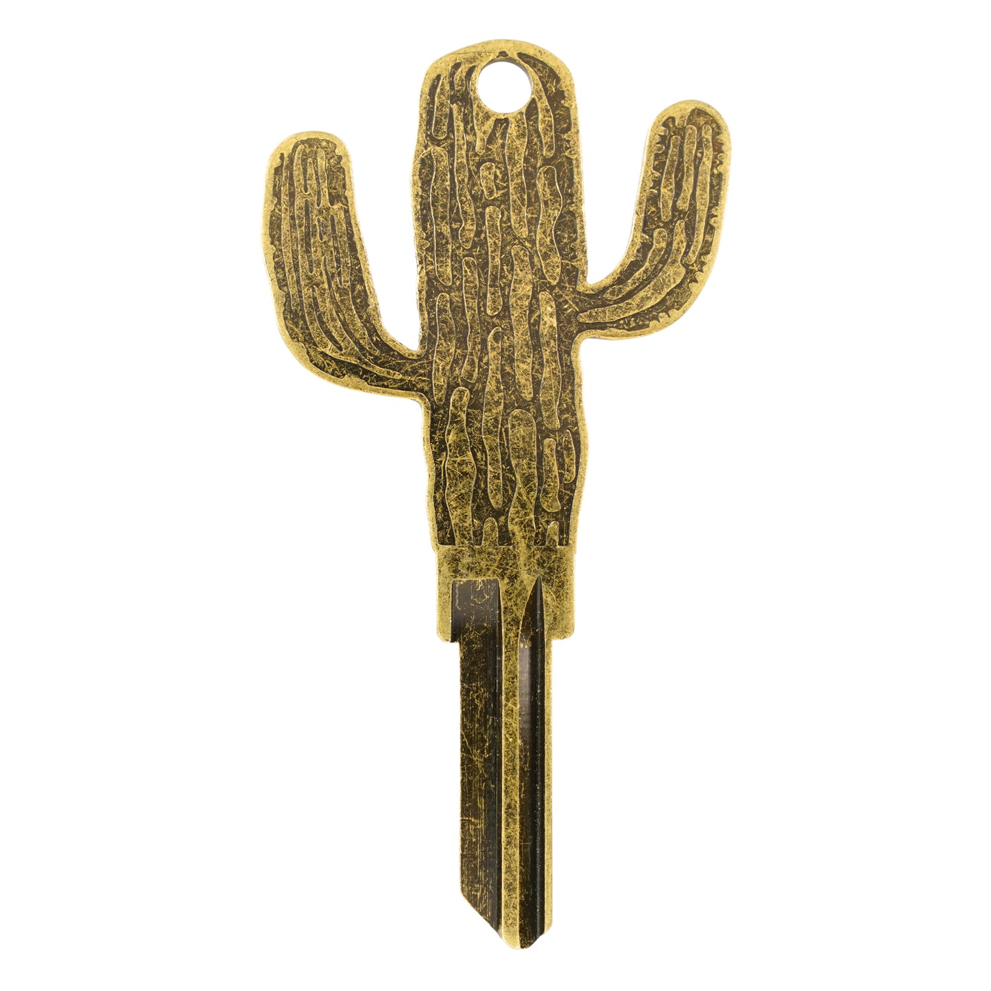 Cactus Whisper House Key Blank