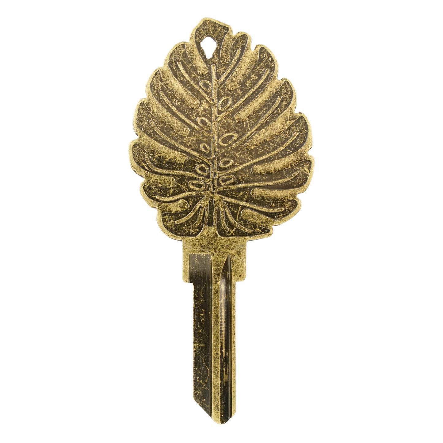 Monstera SC1 House Key