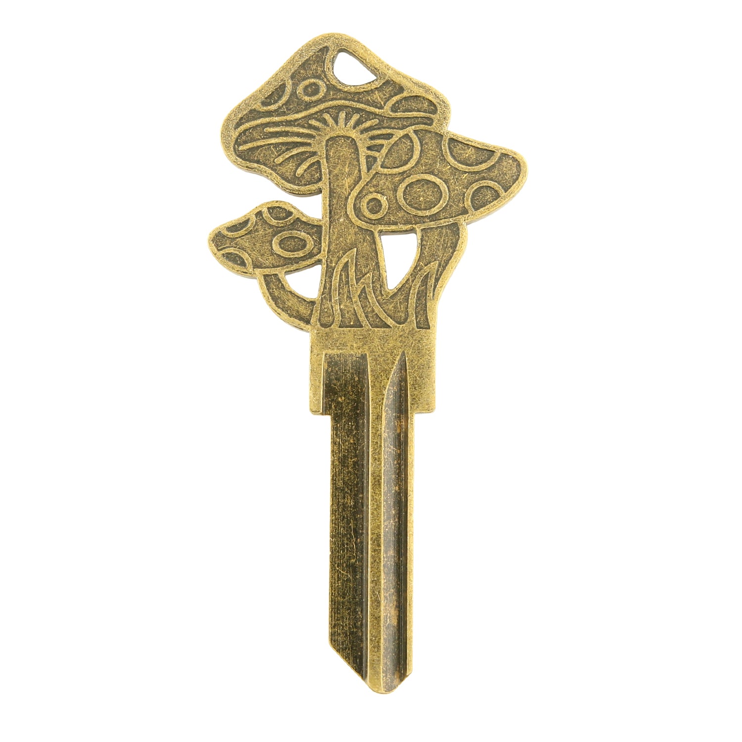 Mushshroom Blank House Key