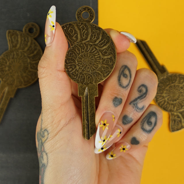 Ammonite Key