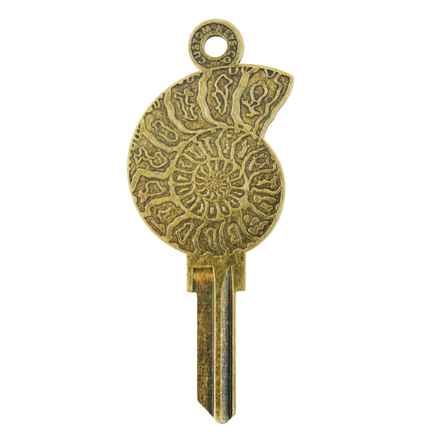 Ammonite Key