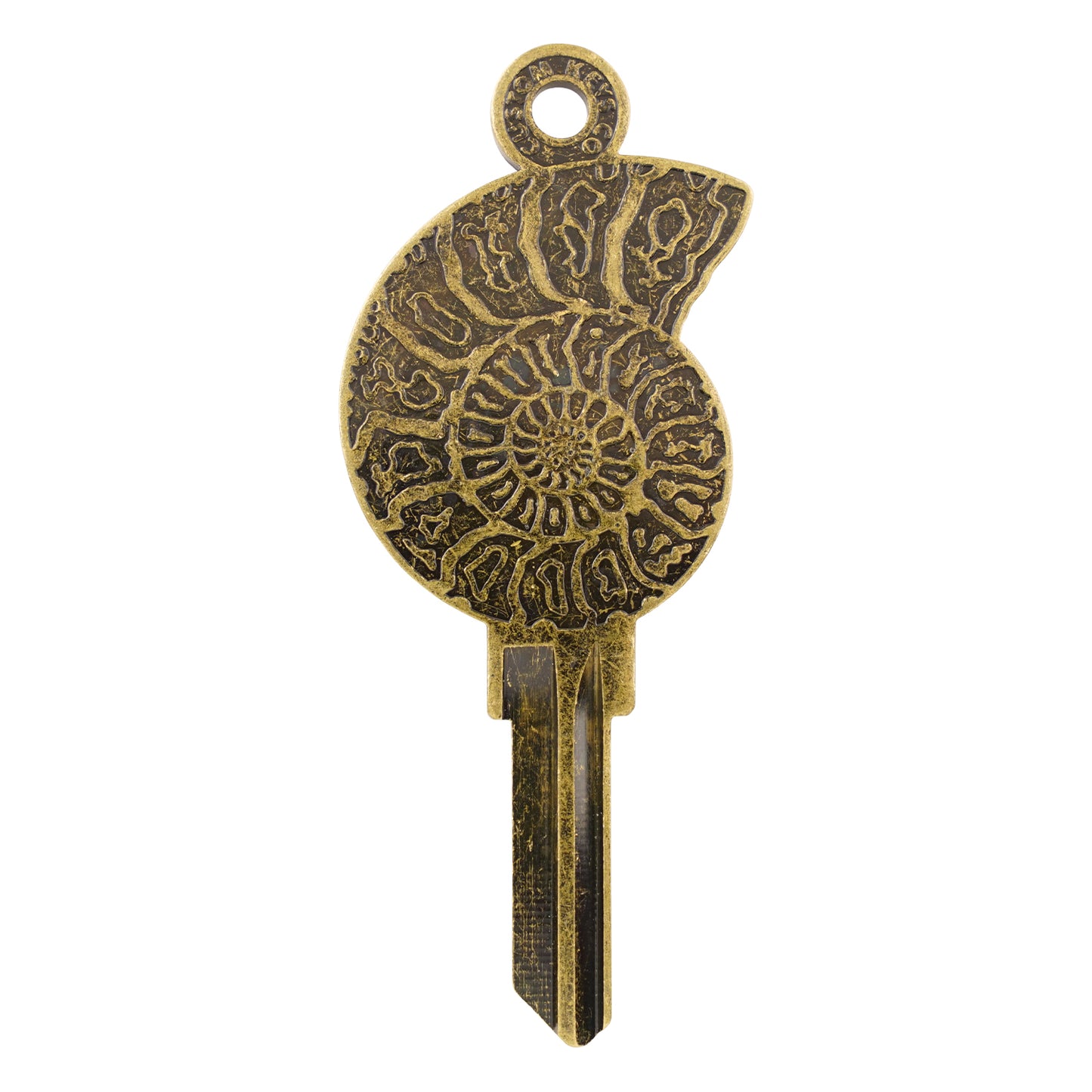 Ammonite Key