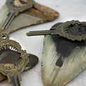 Apex Shark Mouth Key Blank