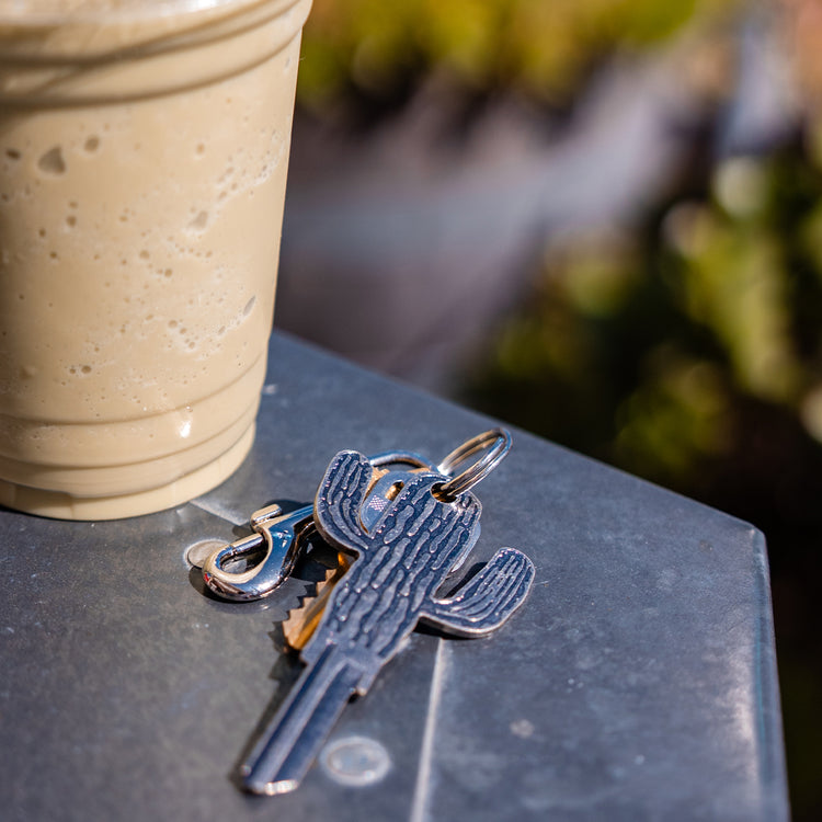 Cactus Silver Key Blank