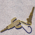 Cactus Whisper Key Blanks