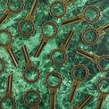 Dahlia Keys Scattered on Table