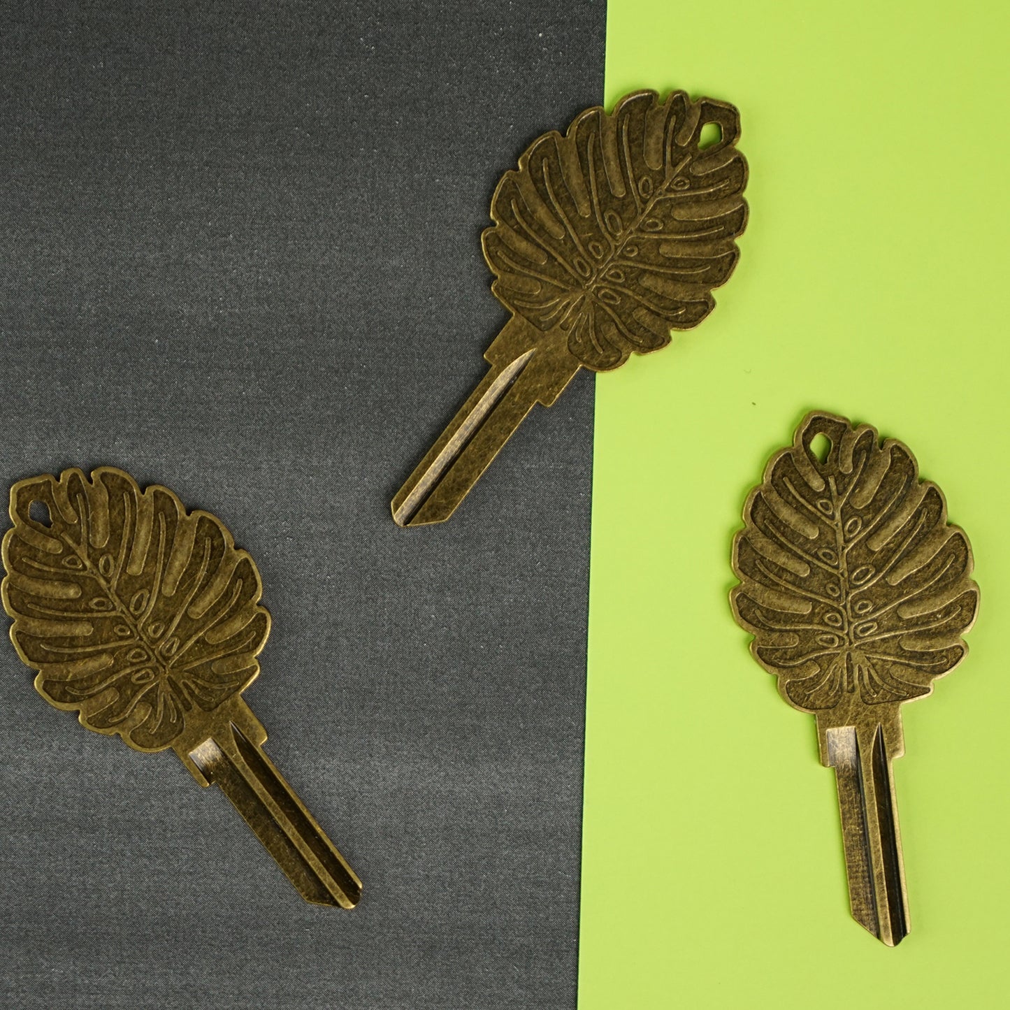 Monstera Key