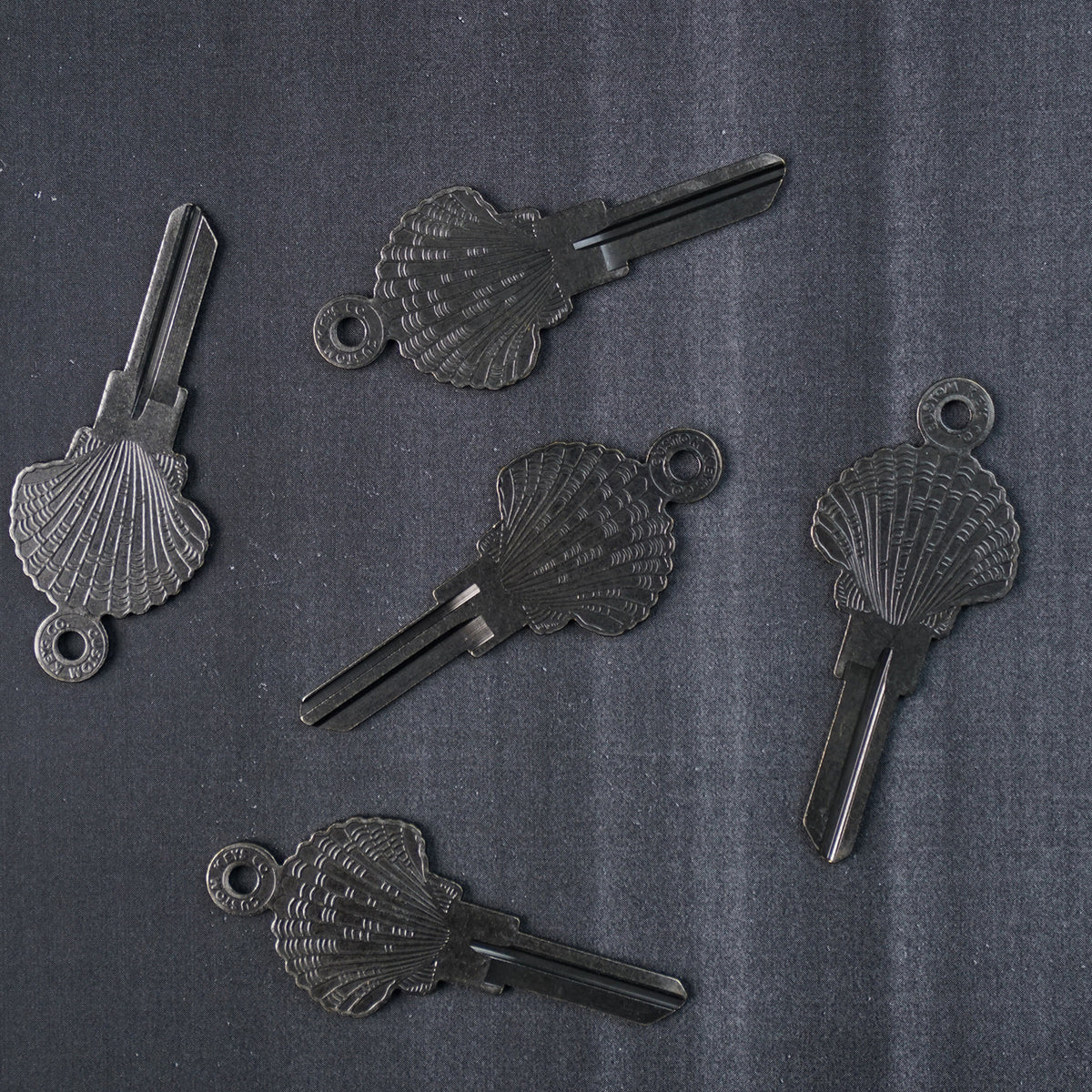 Shell Key Trading Hub Sea Shell Custom Key Blank - Silver KW1 – CustomKeys.com