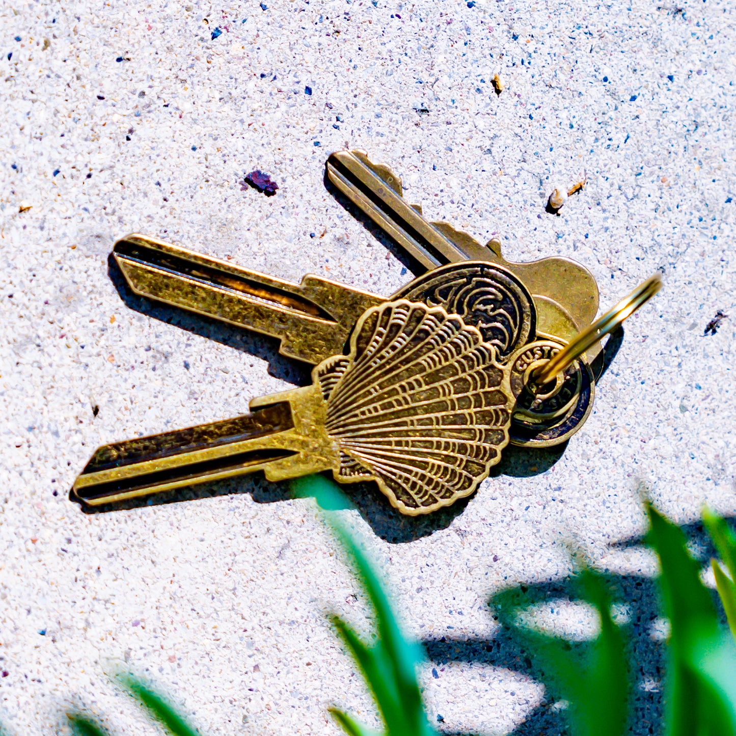 The Seashell Key SC1
