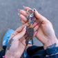 The Skeleton Key SC1
