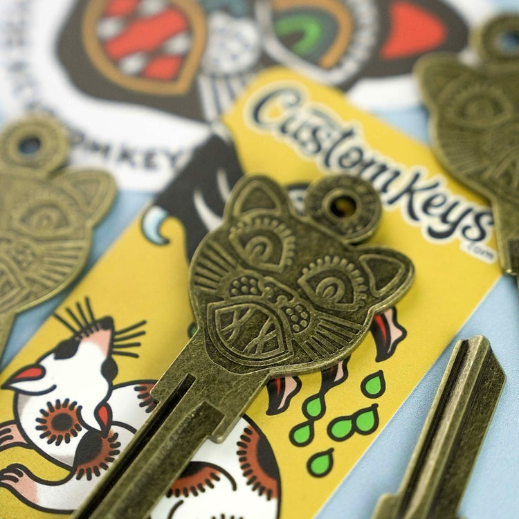 Tomcat House Key Up Close